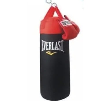 Everlast Elite Punching Bag & Boxing Gloves- 18kg