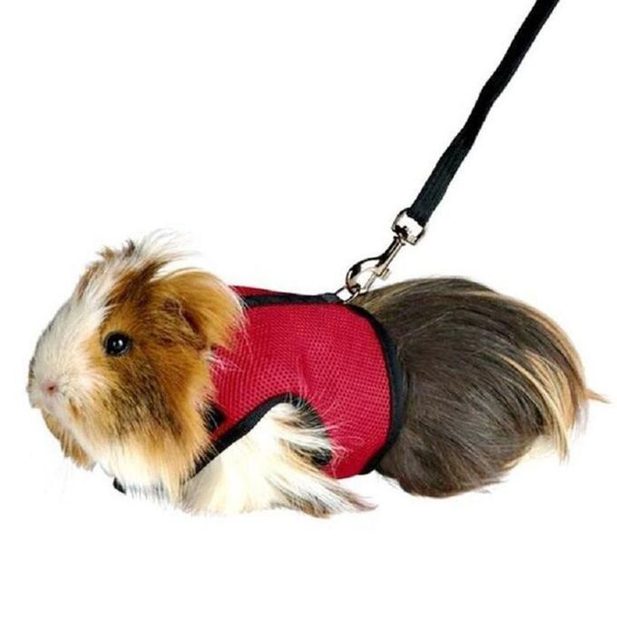 Small Pet Rabbit Harness Leash Set Adjustable Hamster Harness Peach L