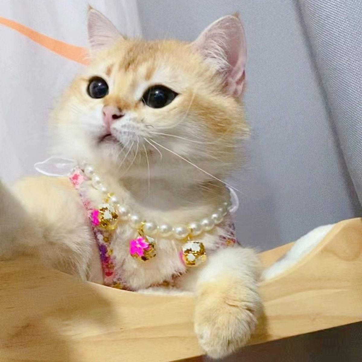 Cat Necklace Pet Dog Decorative Necklace Cat Jewelry Collar Rose Red