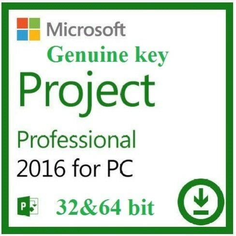 Project 2016 Professional
