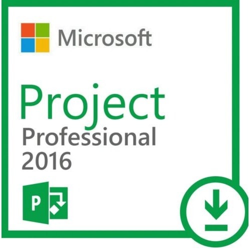 Project 2016 Professional