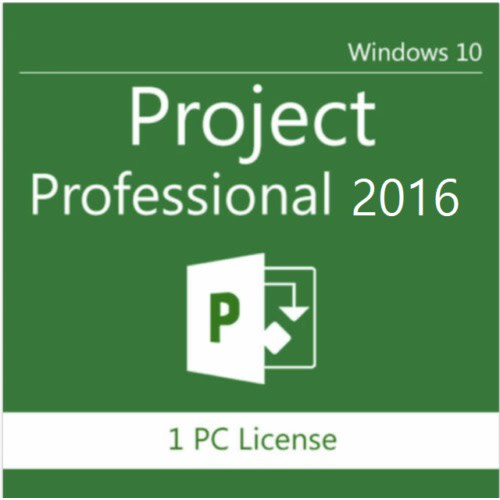 Project 2016 Professional