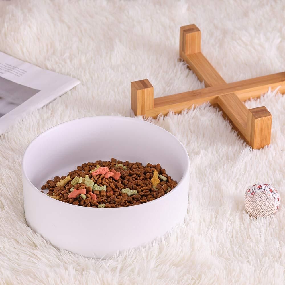 Cat Bowls, Kitten Bowl for Food and Water, Raised Ceramic