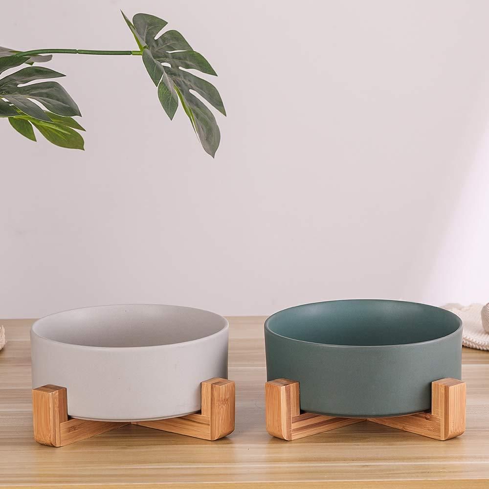 Cat Bowls, Kitten Bowl for Food and Water, Raised Ceramic