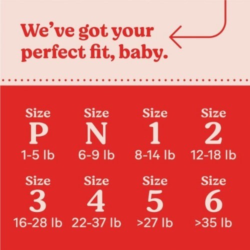 Little Snugglers Baby Diapers - Size 1- 198 Ct