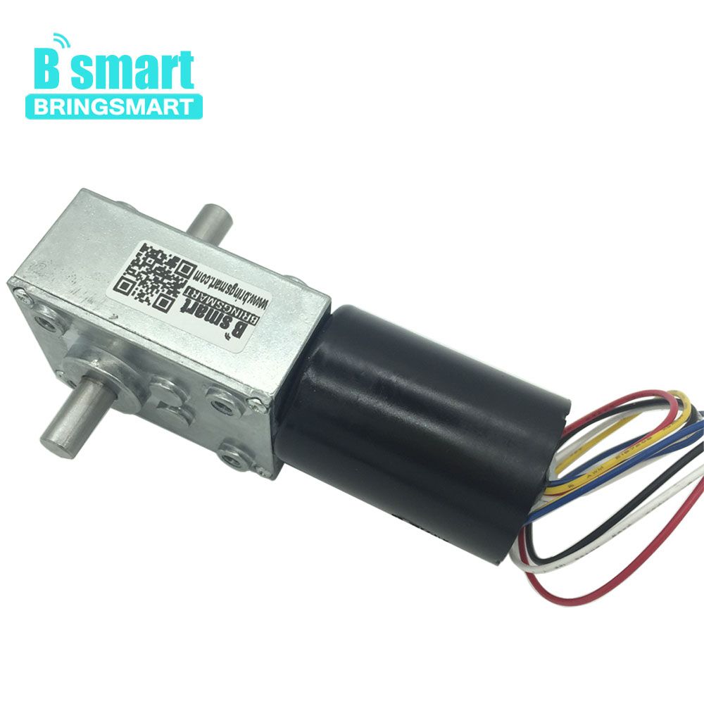 Brinart 24V 12V Electric Motor 8-470RPM 2.5-60KG High Torque  Worm Gearbox DC Brushless Motor