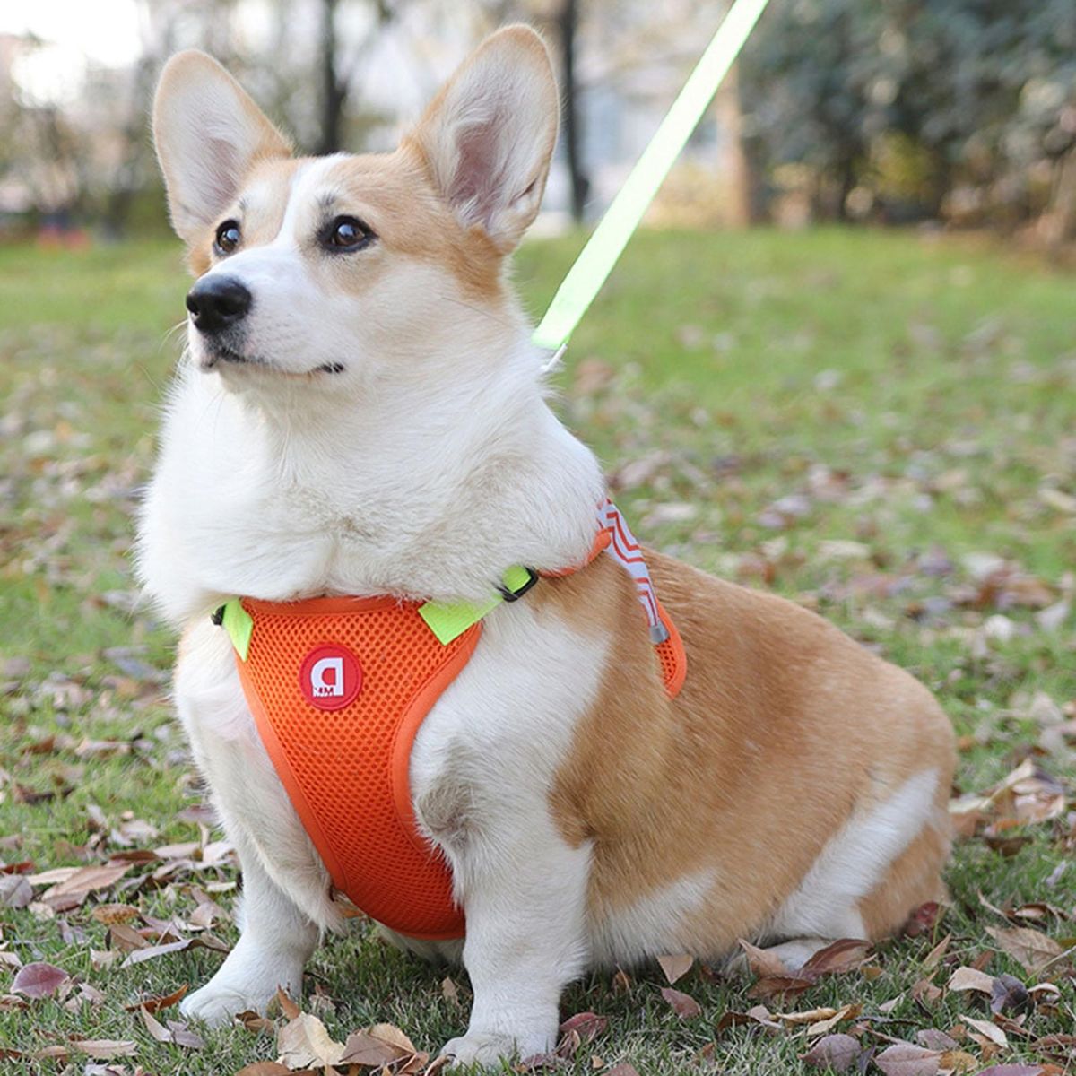 1 Set Dog Vest Puppy Pet Walking Leash Harness Vest Orange