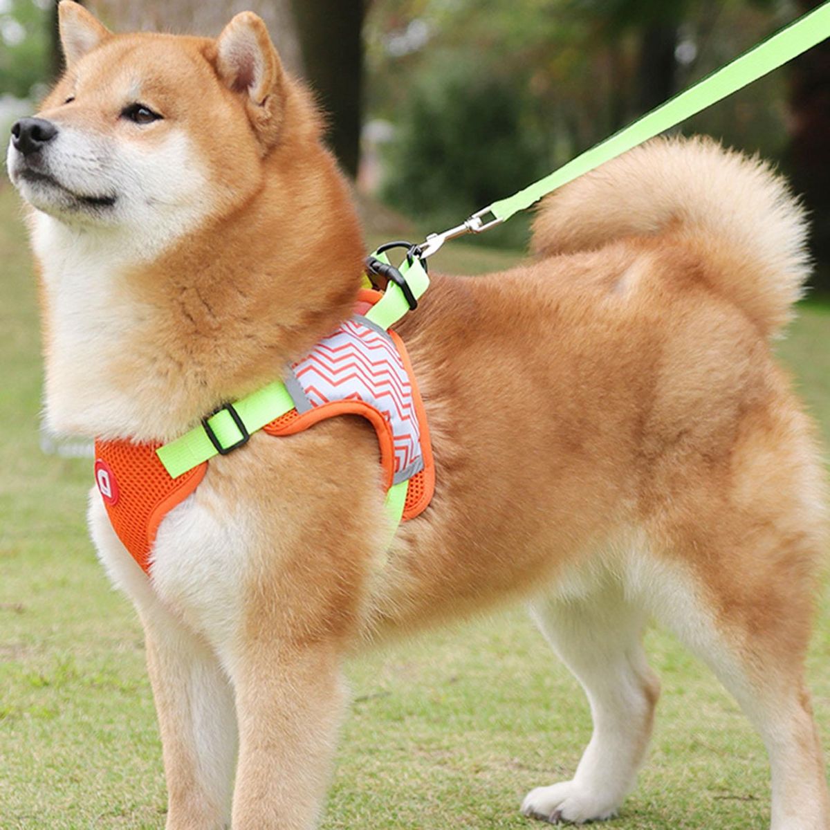 1 Set Dog Vest Puppy Pet Walking Leash Harness Vest Orange