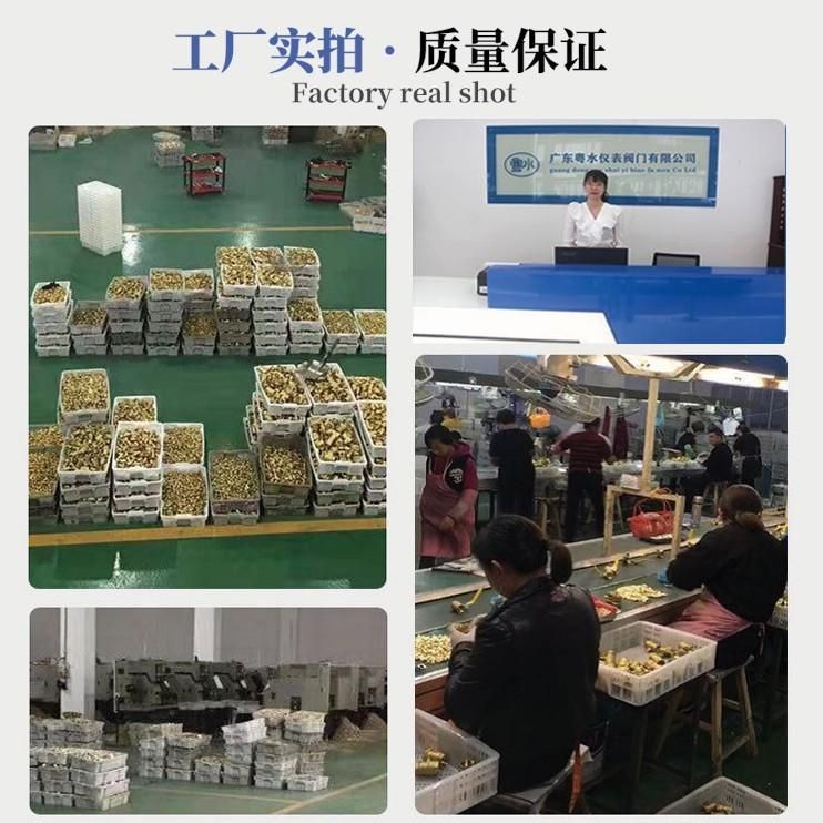 4 Points 6 Points 1 Inch Dn15dn25 Heating Pipe Water Pipe Deflation Valve Water Heating Valve/Brass Automatic Exhaust Valve