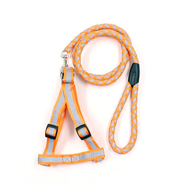 Cat Rope Lead Pet Chain