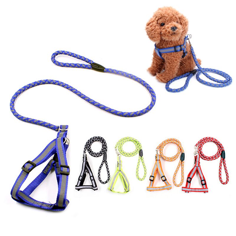 Cat Rope Lead Pet Chain