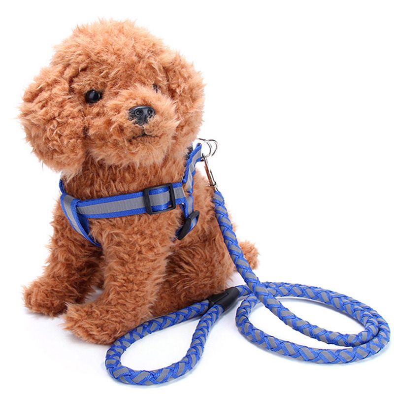 Cat Rope Lead Pet Chain