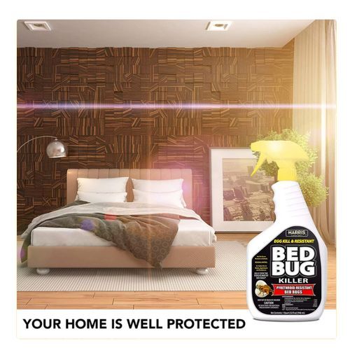 Egg Kill & Resistant Bed Bug Killer 946ml