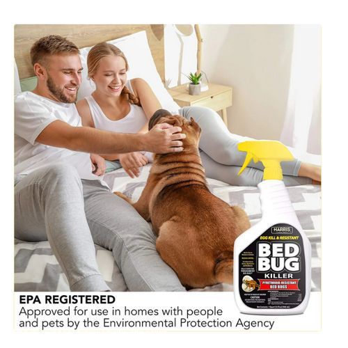 Egg Kill & Resistant Bed Bug Killer 946ml