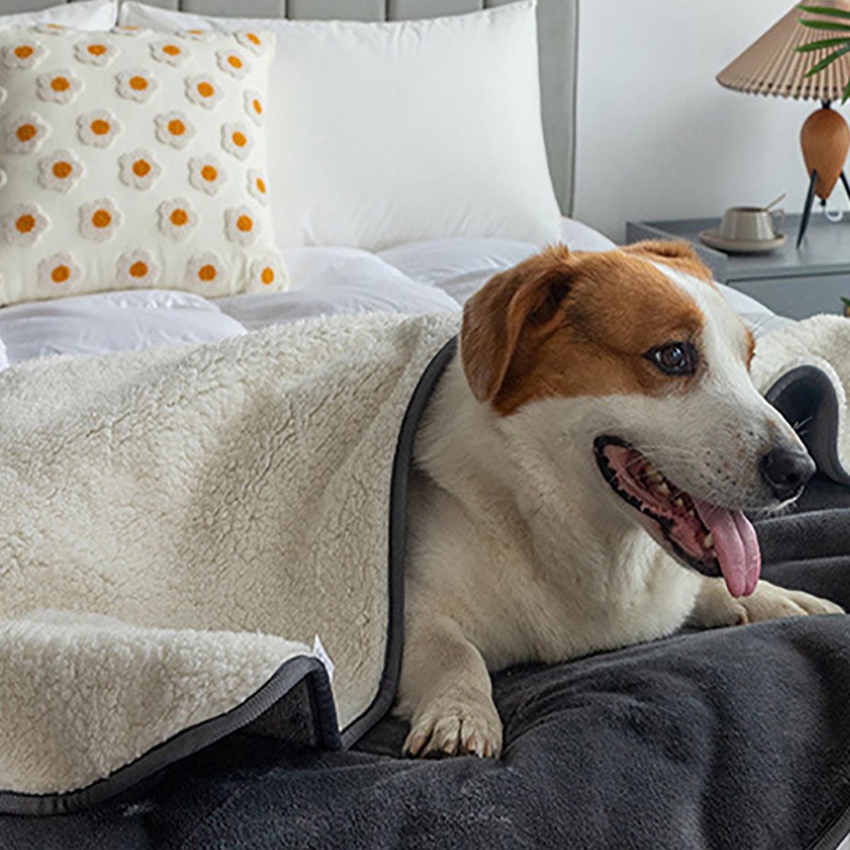 Dog Bed Mat Cozyshield Pet Blanket Waterproof Washable for Dogs Grey