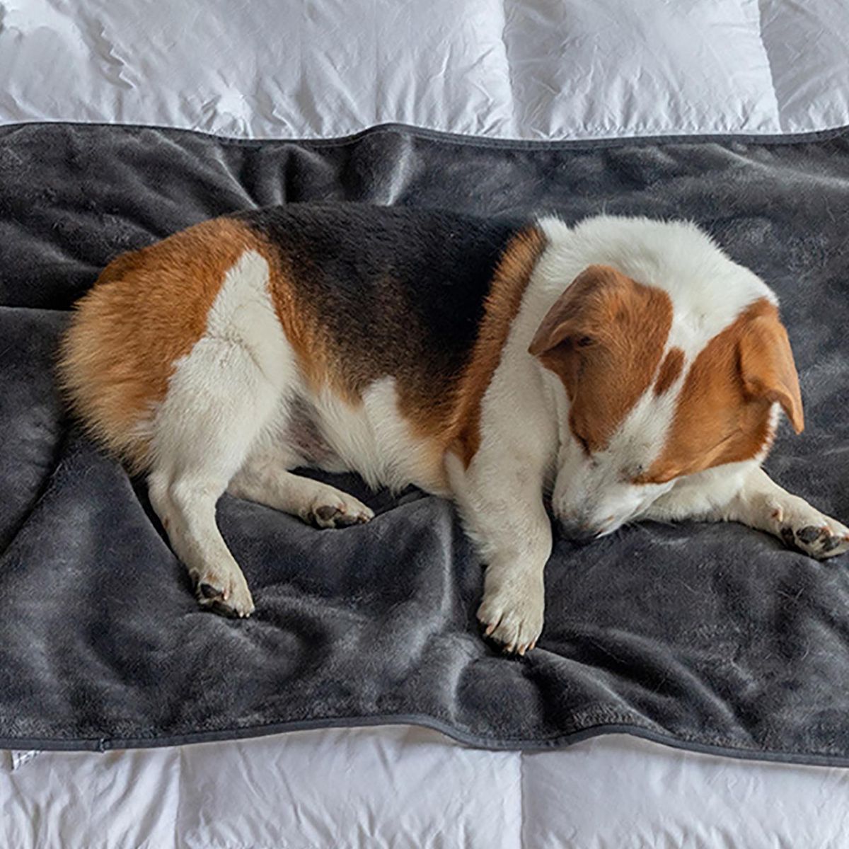 Dog Bed Mat Cozyshield Pet Blanket Waterproof Washable for Dogs Grey