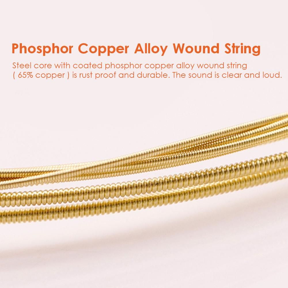 6 PCS Guitar Strings Acoustic Guitar Strings Steel Core Rust Proof Coated String for 6 String Guitar