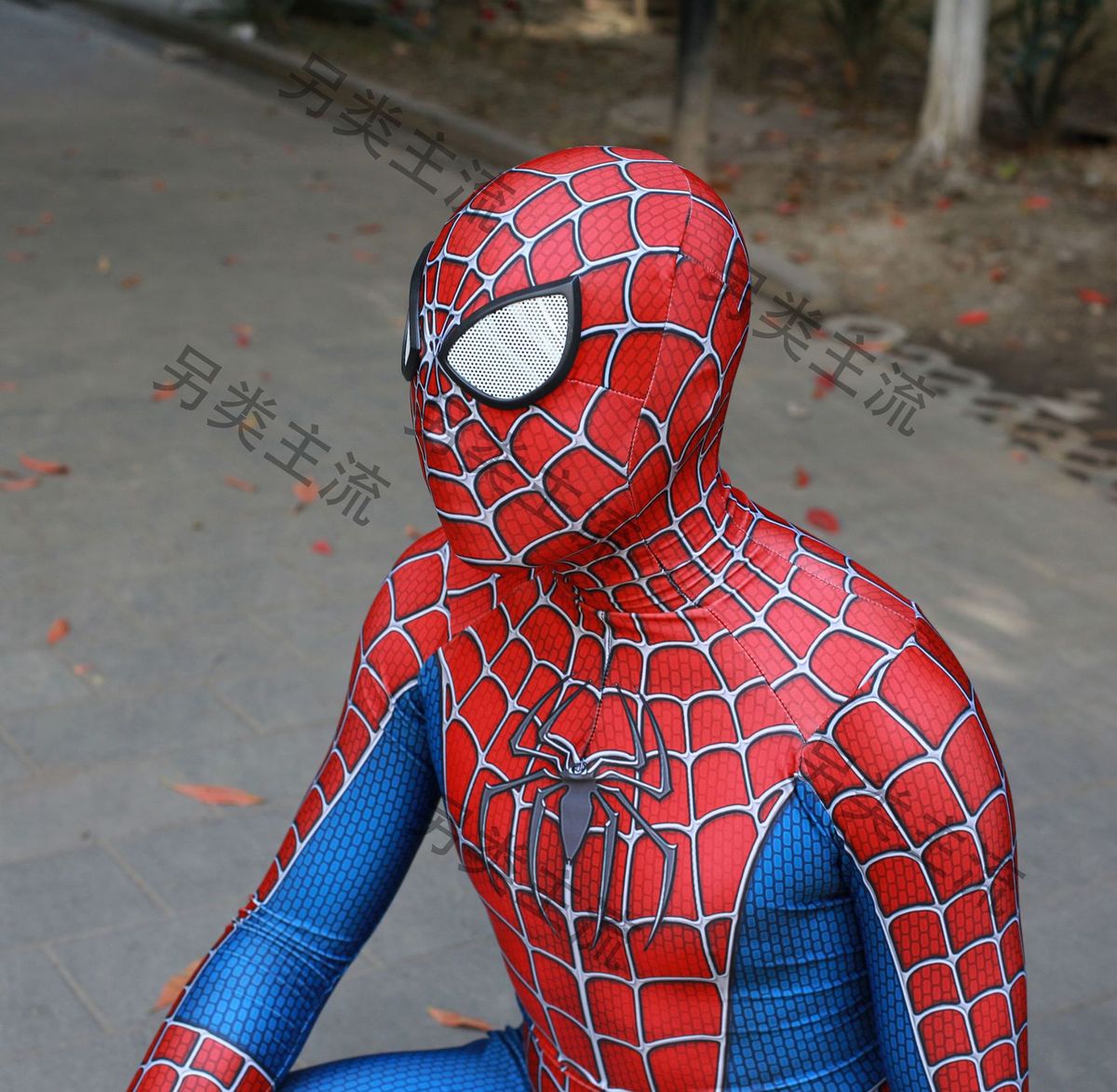Tobey Old The Spiderman Suit