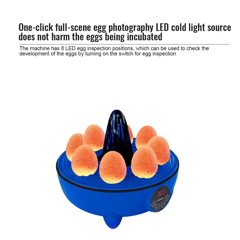 Incubators for Hatching Eggs 8 Egg Incubator with LED Light Temperature Control 360 Degree View Chicken Egg Incubators for Duck Goose Quail Bird for School/Home/Farm/Kids