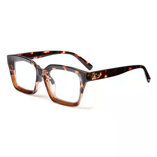 Optical Prescription Frame Glasses With Case