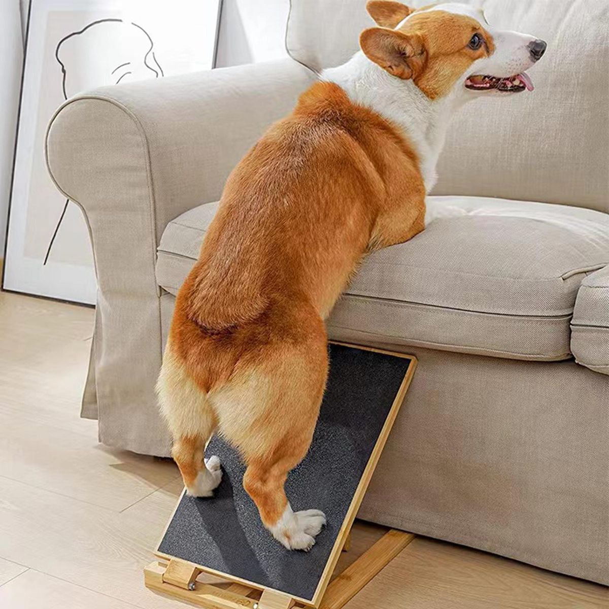 Dog Ramp Folding Easy Climbing Adjustable Height Nonslip For Bed Small
