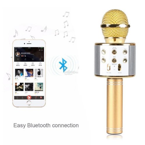 Microphone Hifi Speaker