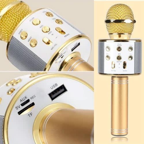 Microphone Hifi Speaker