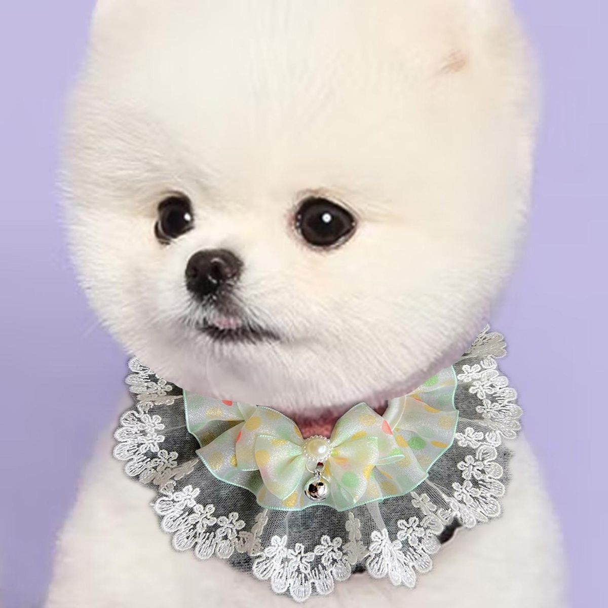 1 Set Pet Saliva Towel Pet Dog Cat Bowknot Neck Scarf Green