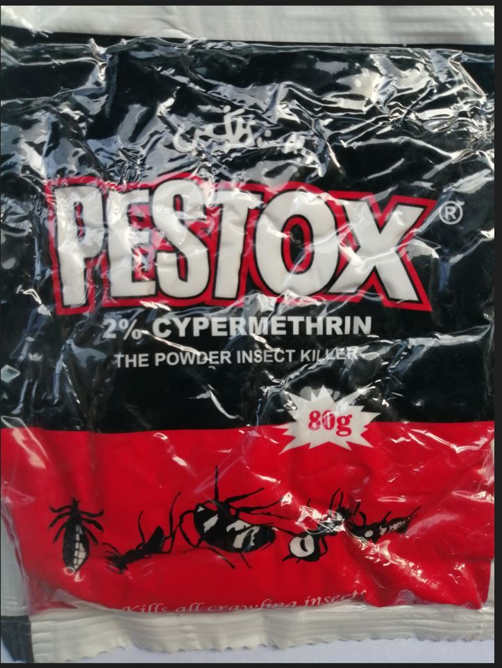 PESTOX Bed Bug,  Cockroach & Insect Killer - 80g