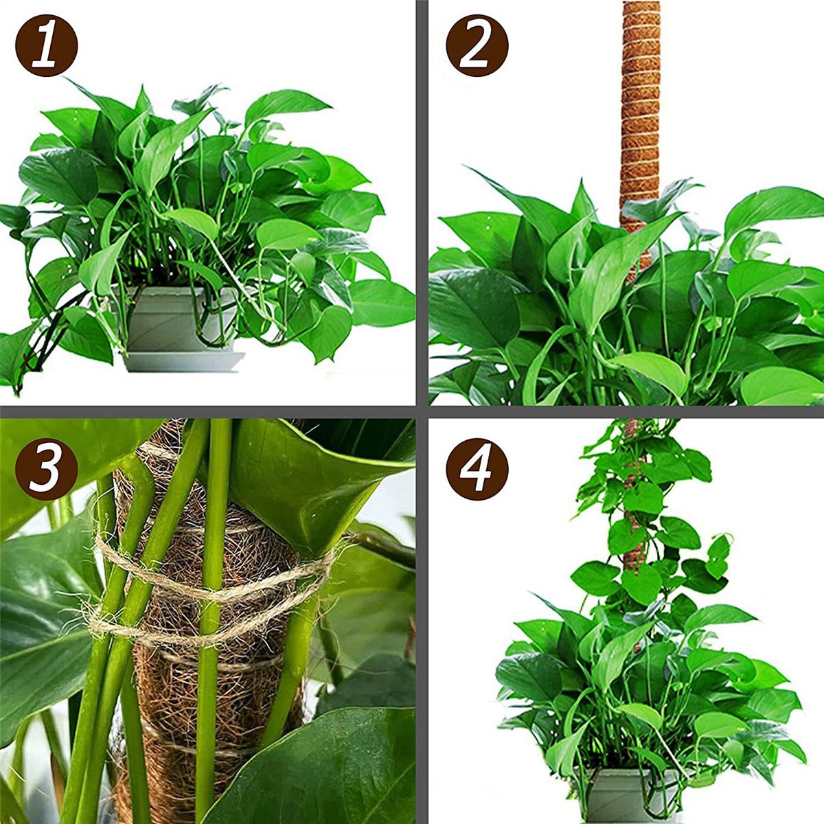 2PCS 48 Inch Moss Pole,Bendable Moss Pole for Plants