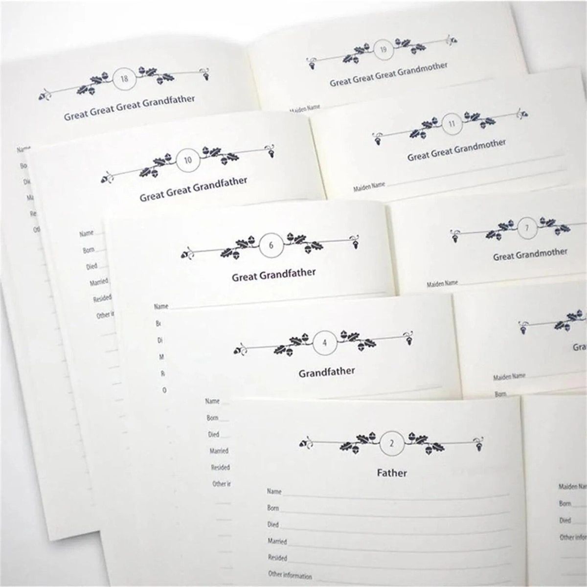 Family Tree Notebook-handwritten Ancestors' Memories To Write Into Personal Family History And Genealogy Office Supplies