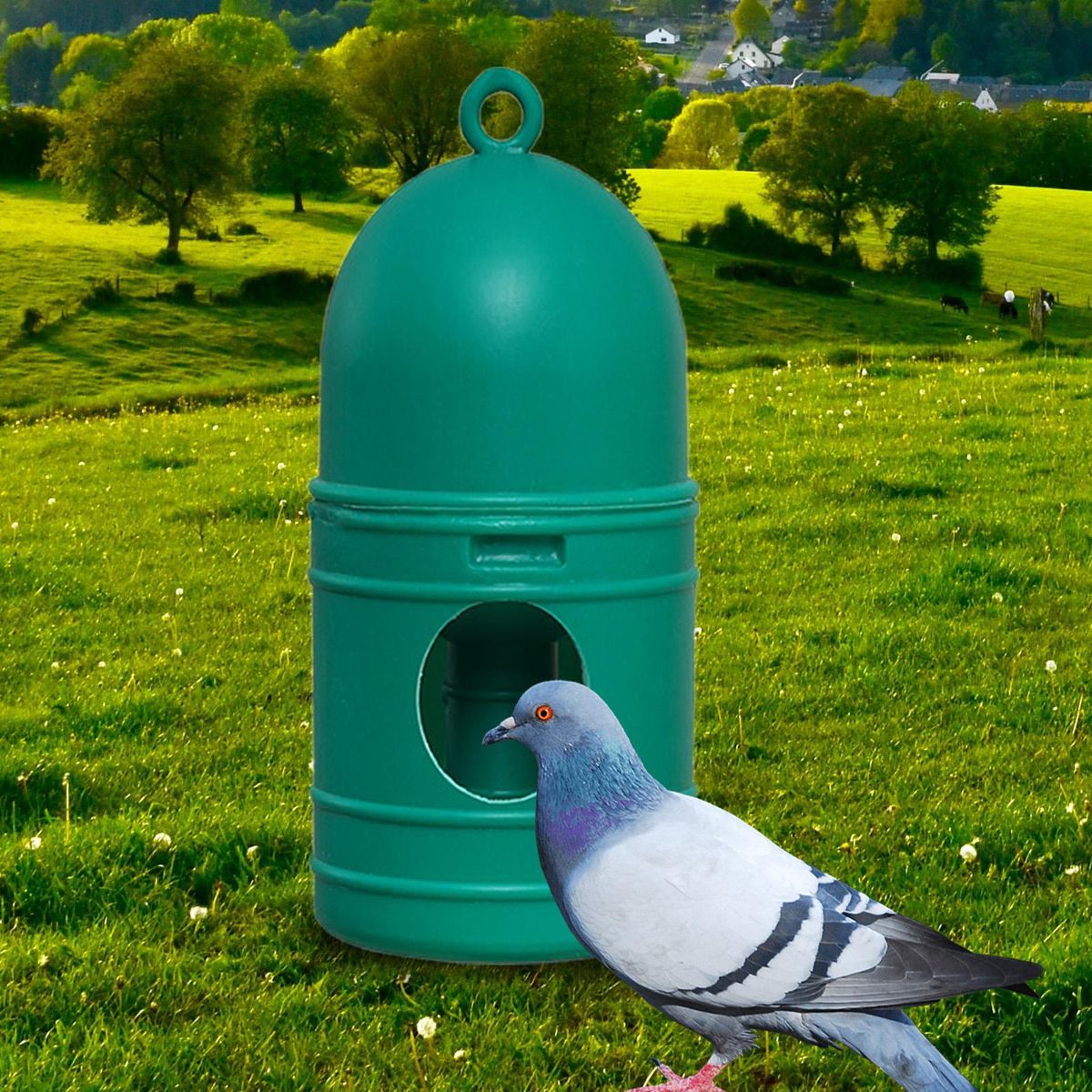 Parrot Water Dispenser Bowls 1L Pigeon Drinker Waterer