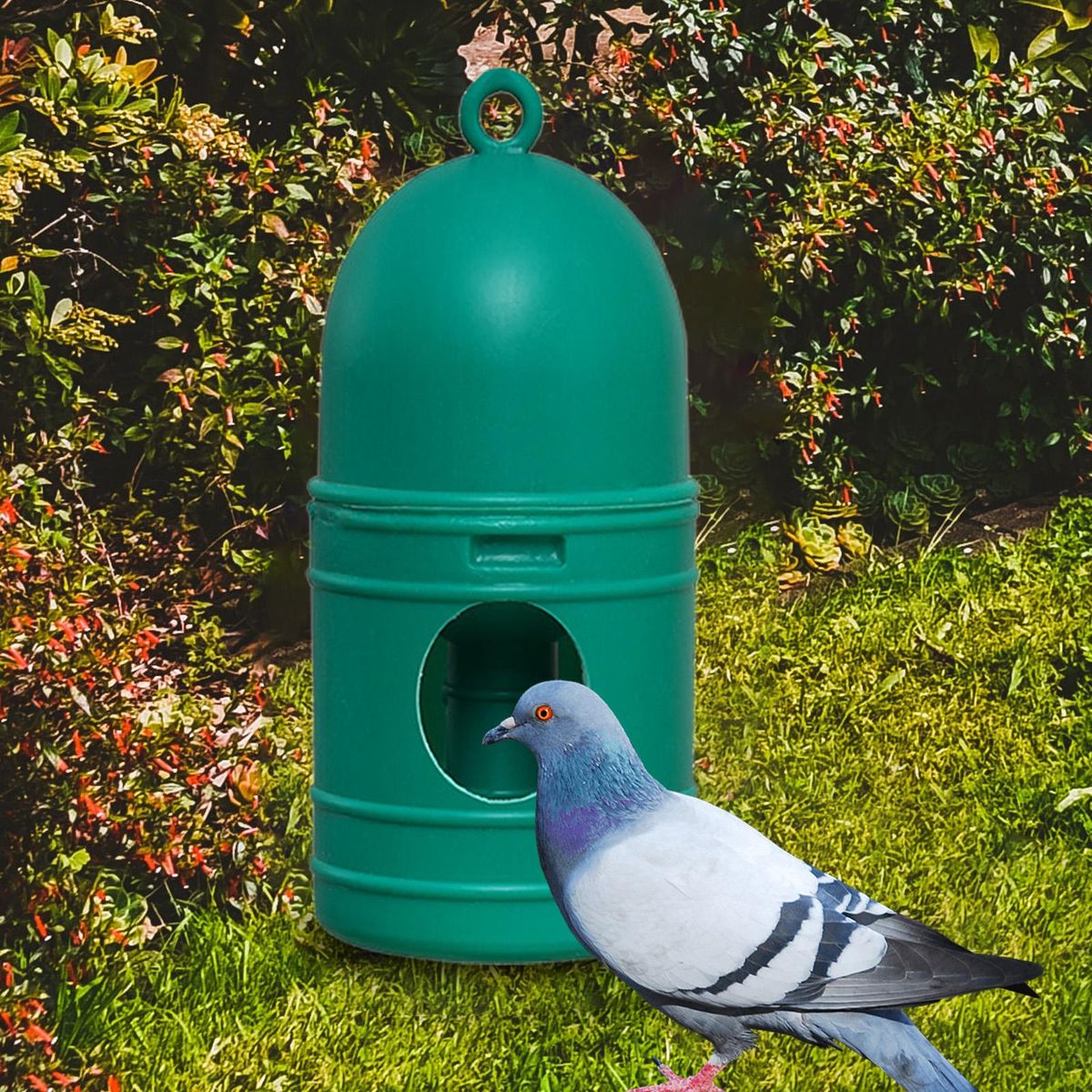 Parrot Water Dispenser Bowls 1L Pigeon Drinker Waterer