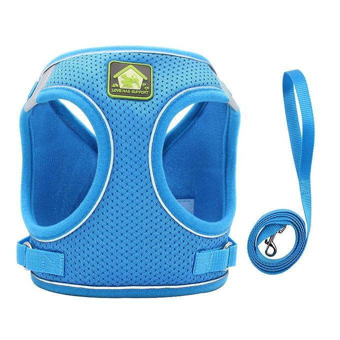 Nylon Mesh  At Harness Refle Tive Dog Vest Harness & Leash Set For Walking-blue-S