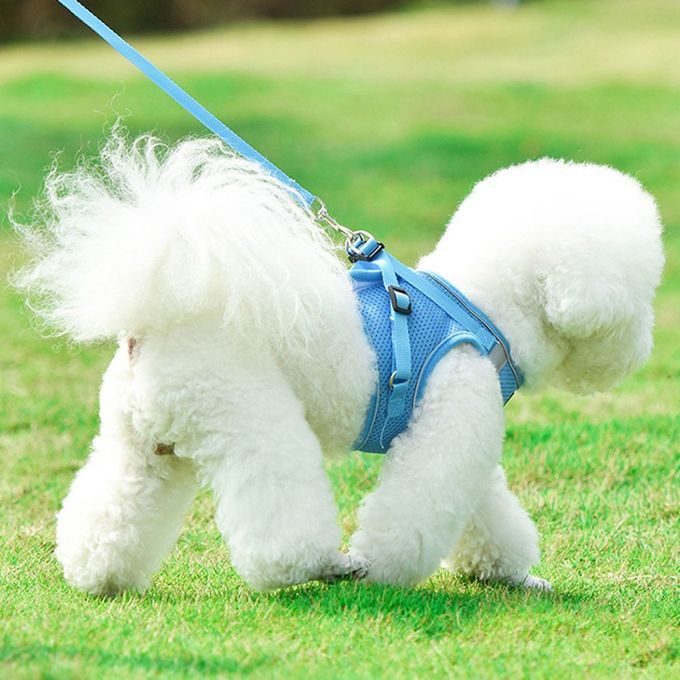 Nylon Mesh  At Harness Refle Tive Dog Vest Harness & Leash Set For Walking-blue-S