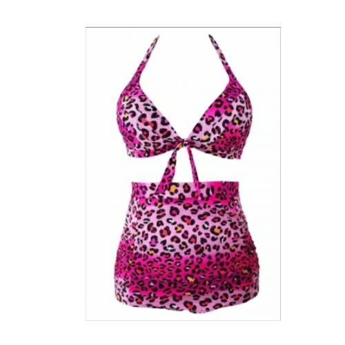 Rosy Leopard Print Retro High Waist  2 Pieces Swimsuit - Multicolour