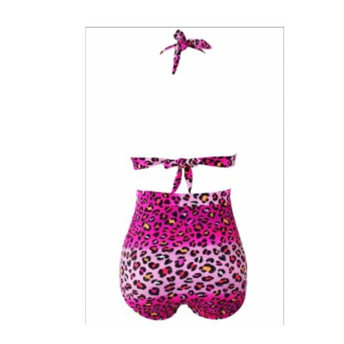 Rosy Leopard Print Retro High Waist  2 Pieces Swimsuit - Multicolour