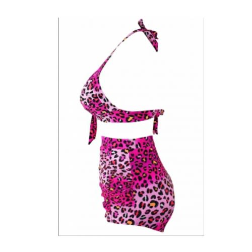 Rosy Leopard Print Retro High Waist  2 Pieces Swimsuit - Multicolour