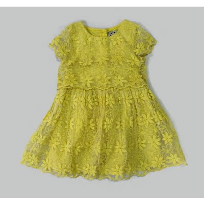 Lace Motive Dress
