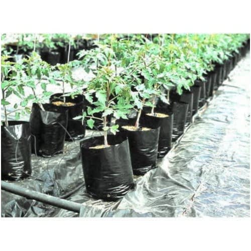 Grow Plant Nursery Bags - 10x12 Inches - 500 Pieces