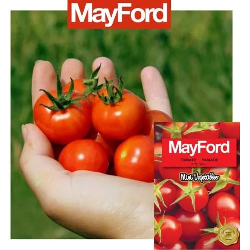 Cherry Tomato Seed- Bite Size - 2g