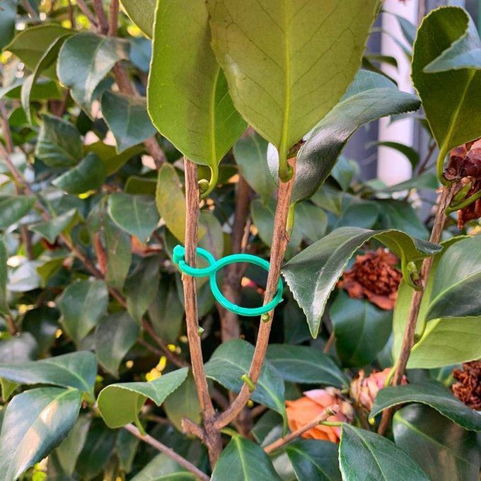 Garden Stem 8-bu Kle Plant Tomato Flowers Stem Plasti  Green 8-bu Kle-green- P S