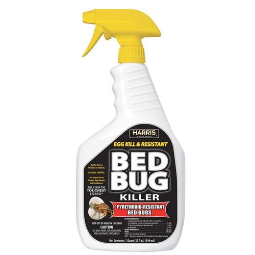 Black Label Bed Bug Killer Wi Trigger Spray Gallon 946ml