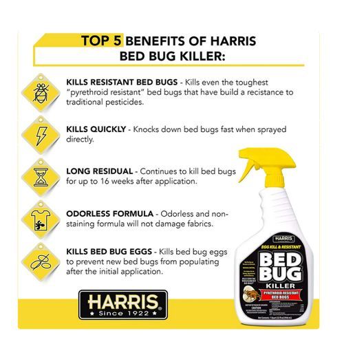 Black Label Bed Bug Killer Wi Trigger Spray Gallon 946ml