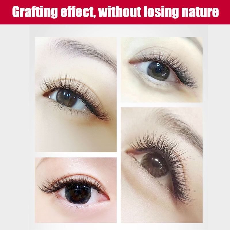 29Pcs False Eyelash Eye Lashes Extension Holder Planting Grafting Tray Tool