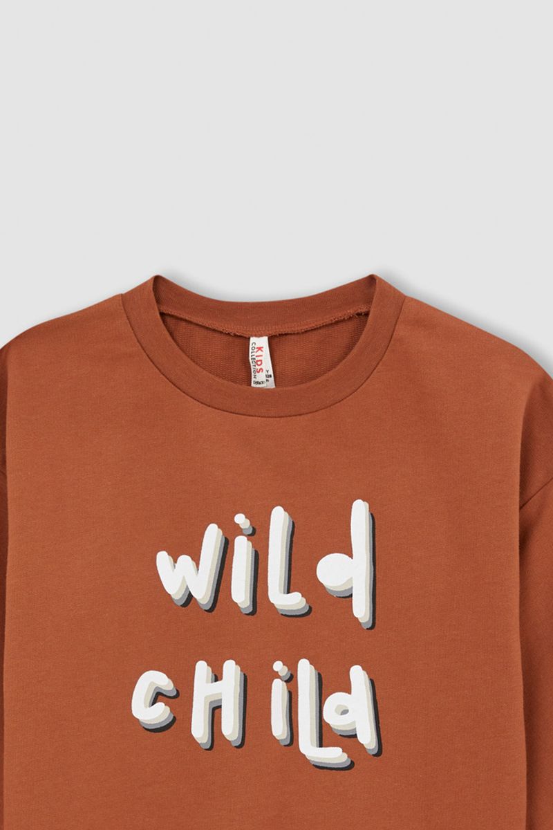 Girl - Regular Fit C Neck Long Sleeve Knitted Sweat Shirt - Brown