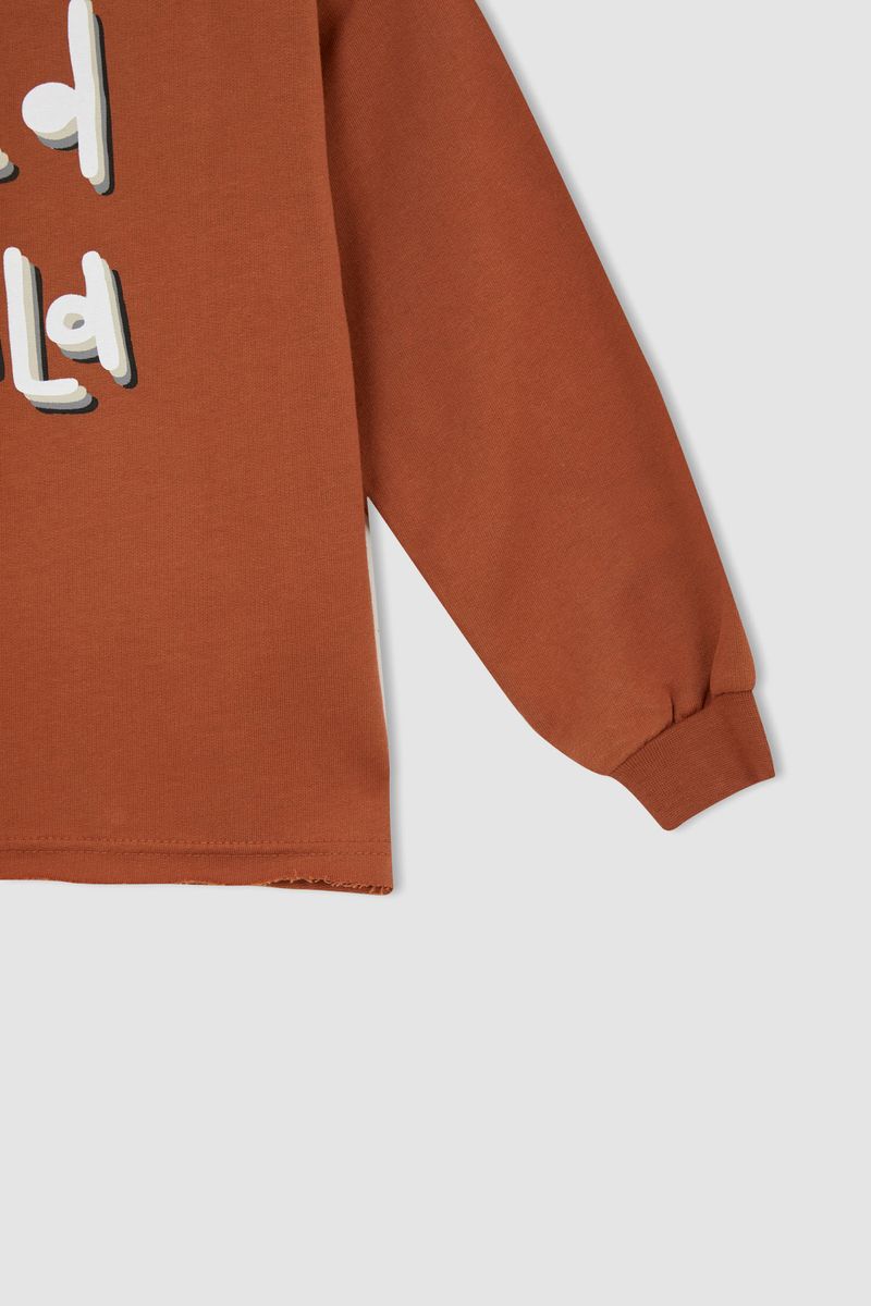Girl - Regular Fit C Neck Long Sleeve Knitted Sweat Shirt - Brown