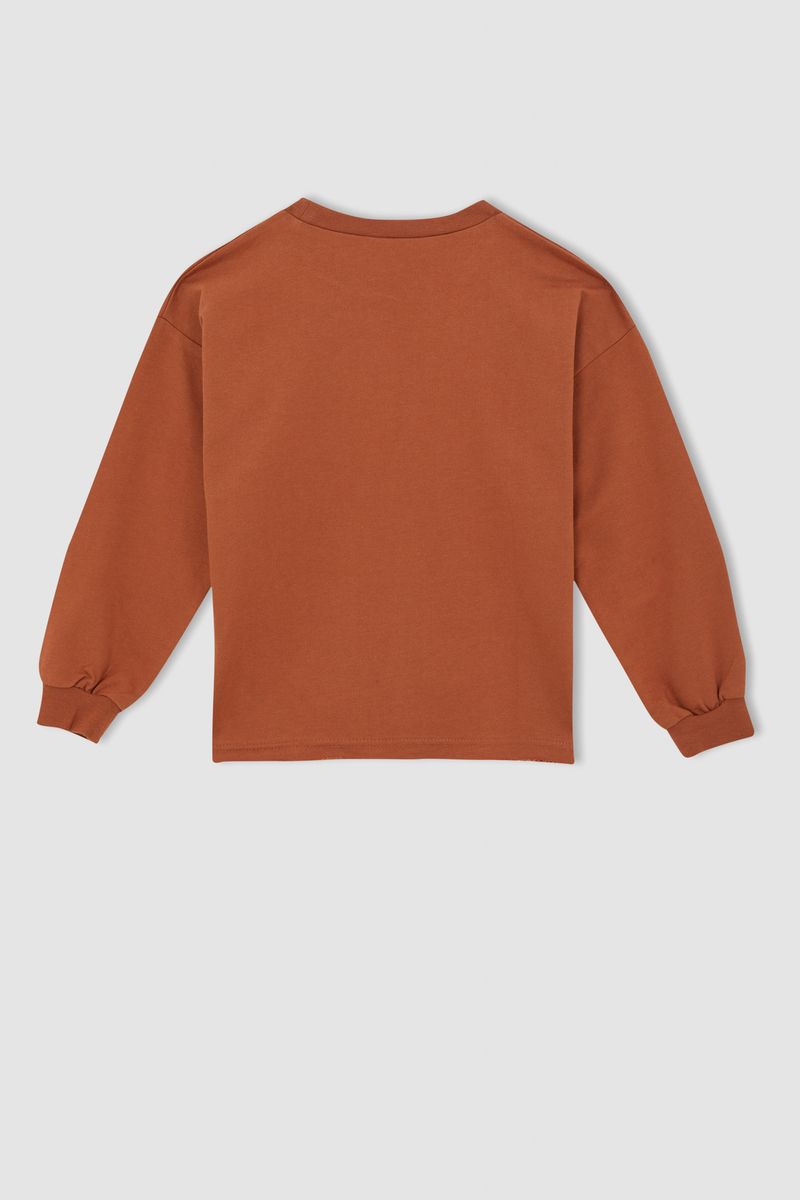 Girl - Regular Fit C Neck Long Sleeve Knitted Sweat Shirt - Brown