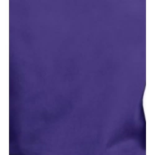 Ladies Formal Dress Shirt  - Purple
