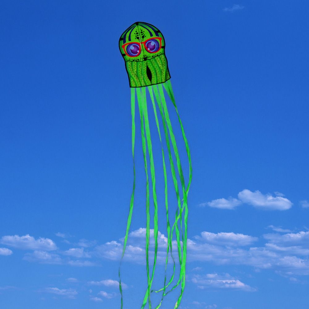 Kids Octopus Kites Toy Cartoon Animal Kites With Long Tail